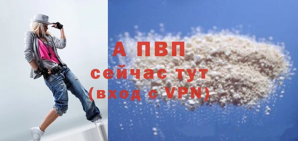 индика Алексин