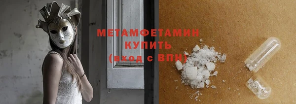 прущие грибы Елизово