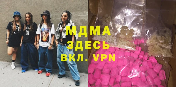 индика Алексин