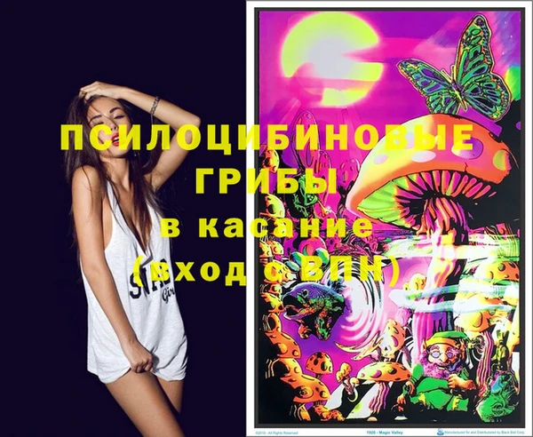 таблы Алзамай