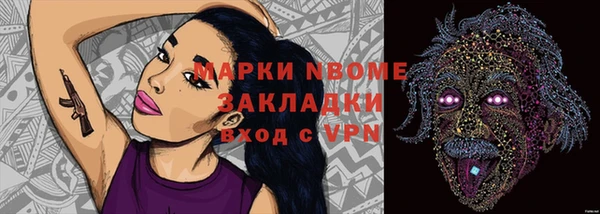 индика Алексин