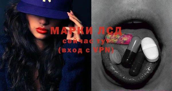 индика Алексин