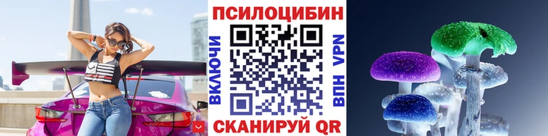 ОМГ ОМГ   Лысьва  Псилоцибиновые грибы Psilocybine cubensis 