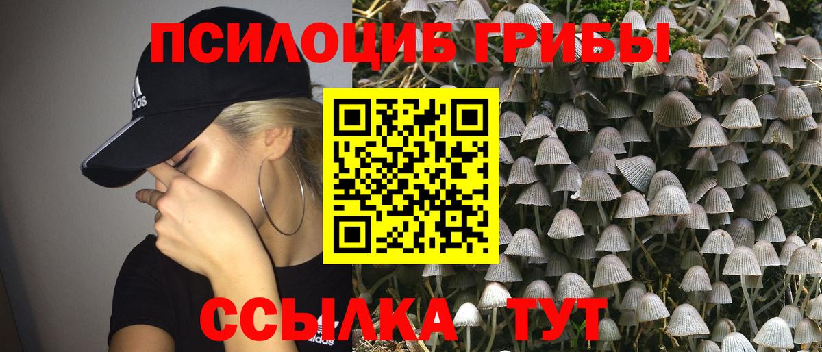 Псилоцибиновые грибы ЛСД Лысьва